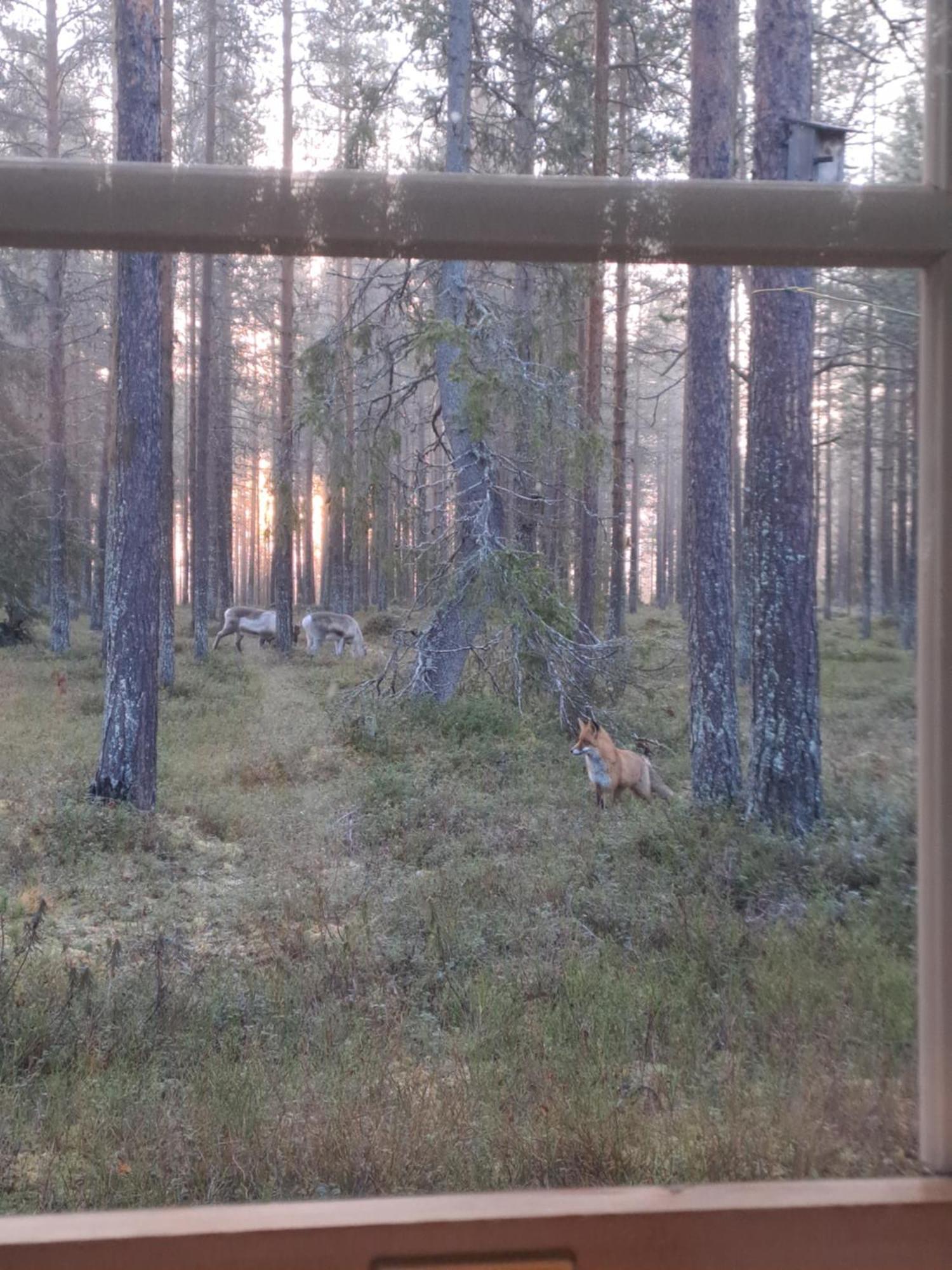 Apartmán Yllaes Nilimaja Ylläsjärvi Exteriér fotografie